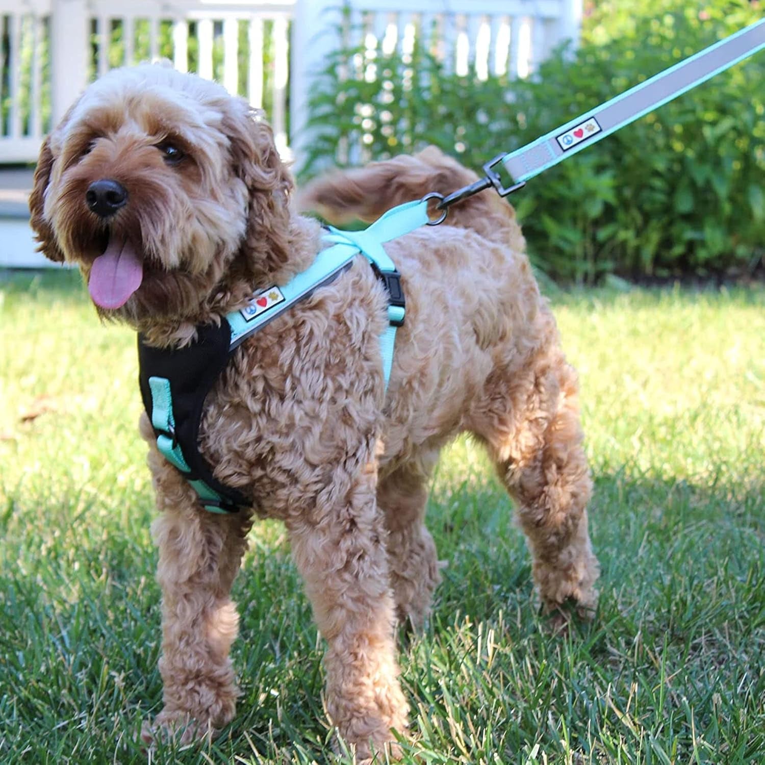 Personalized Dog Leash 6 FT, Custom Embroidered Name & Phone Number, Reflective Dog Lead with Soft Padded Handle, Heavy Duty Walking Leash for Large, Medium & Small Dogs, Black