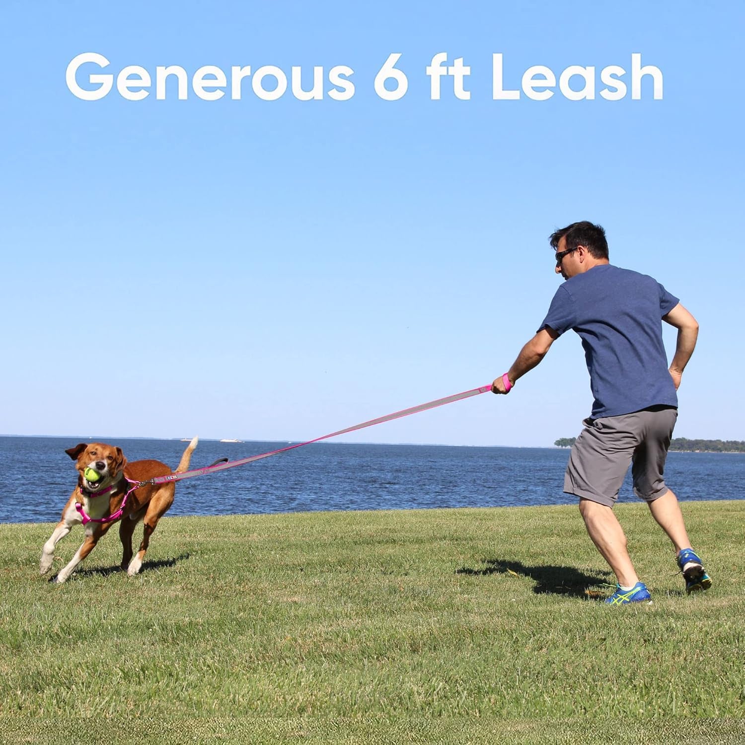 Personalized Dog Leash 6 FT, Custom Embroidered Name & Phone Number, Reflective Dog Lead with Soft Padded Handle, Heavy Duty Walking Leash for Large, Medium & Small Dogs, Black